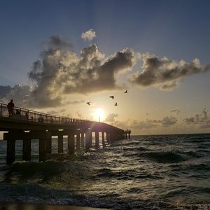 Meet your Posher, Guttie